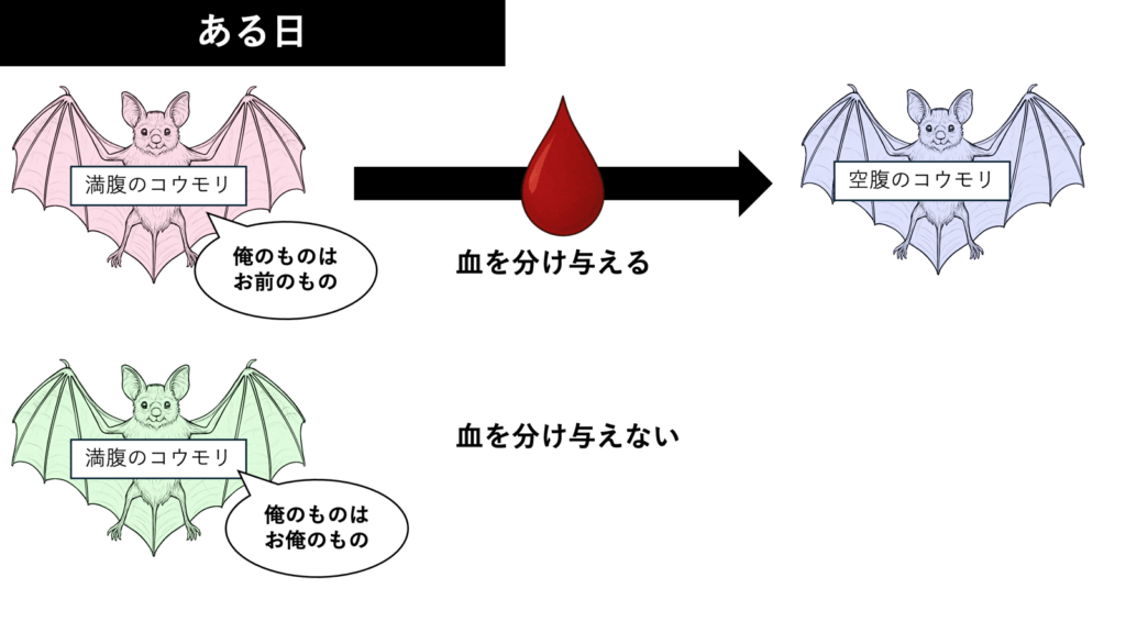 コウモリの利他行動Day1